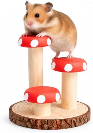 Hamster Climbing Toy Wooden for Chew, Enrichment Cage Accessory