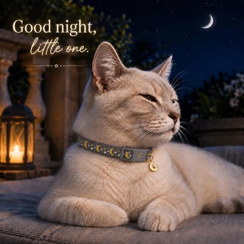 Breakaway Cat Collar with Bell for Kittens & Cats