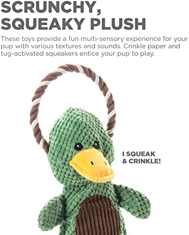 Outward Hound Scrunch Bunch Duck Interactive Plush Squeaky Dog Tug Toy