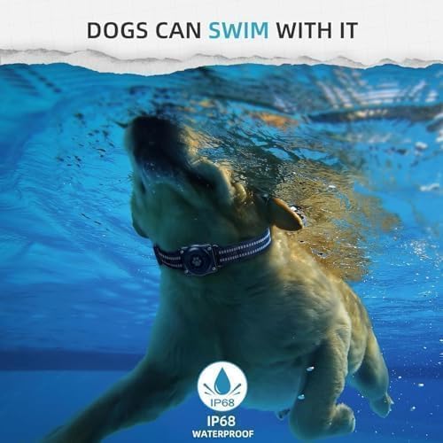 GPS Tracker for Dogs (iOS Only) Pet Activity Tracker, GPS Cat Tracker | No Monthly Fee, Compatible with Apple Find My, Anti-Lost, Finder Tag for Vehicles/Pets/Kids/Items (2 Pack)