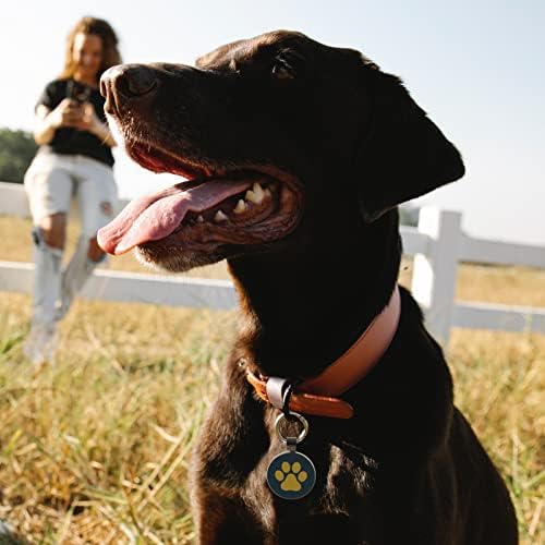 MYLUCKYTAG QR Code Pet ID | Personalized Dog & Cat Collar Tag | Online Profile with Instant Scanned Location Alert Email