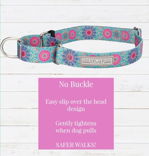 Lucky Love Dog Martingale Collar for Large Dogs No Slip Cute – Clara, Large