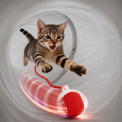 31 Pcs Interactive Cat Toys for Indoor Cats, Cat Tunnel with Moving Ball, Cat Toy Launcher, Catnip Toys, Chew Rope, Feather Wand, Springs and Balls for Indoor Kittens, Grey