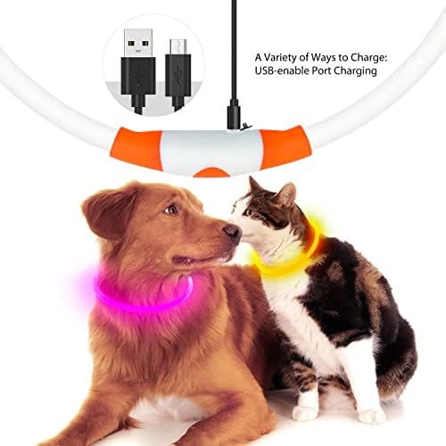 Flashseen LED Dog Collar, USB Rechargeable Glow Lighted up Collar, Orange