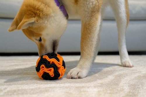 Glory To Dog Puppy/Small Breed Snuffle Dog Puzzle Ball Toy Orange and Black