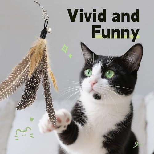 SONGWAY Interactive Cat Feather Toys - Cat Wand Toy Set with Retractable Teaser Wand and 6 PCS Natural Feather Refills, Da Bird Cat Toys for Indoor Cats Kittens