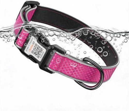 Reflective Dog Collar with QR Code Tag, Rose Red, M,(12.6"-19.6")