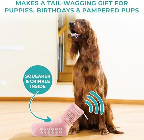 Haute Diggity Dog Doggo Athletic Sock Plush Dog Toy, Funny Parody Chew Toys