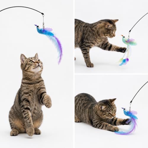 Cat Toys for Indoor Cats, Interactive Feather Wand Toy Set