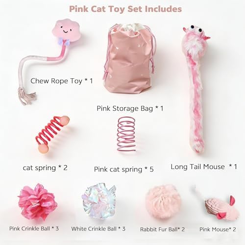 20 Pcs Cat Toy Pack Interactive Kitten Toy Set,Including Cute Catnip Chew Rope Springs Mice Crinkle Ball Furry Balls Toys for Indoor Cat,Pink Kitten Toys with Gift Bag