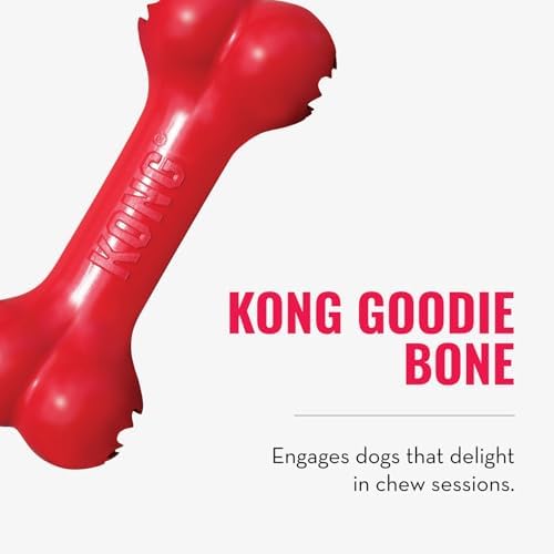 KONG Goodie Bone and Flyer Dog Toy Set, for Medium Dogs