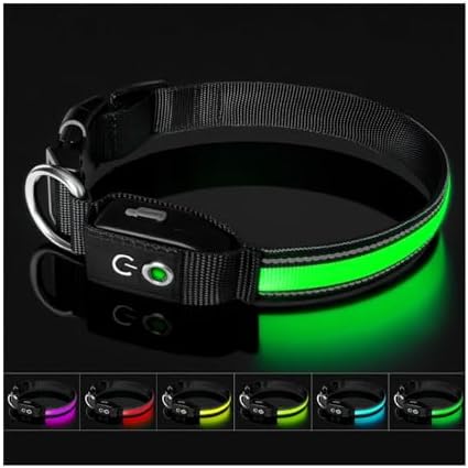 Auto Light Up Dog Collar - Smart Safety Night Collar with Motion Sensor - Auto-On in Dark - USB-C Rechargeable - 3 Day Runtime- IP65 Waterproof (L 20-24")