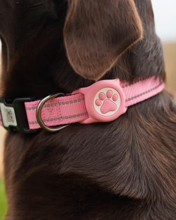 Dog Collar with AirTag Holder, QR Code Tracking, Paw Print Covers, Multi-Color (Pink)