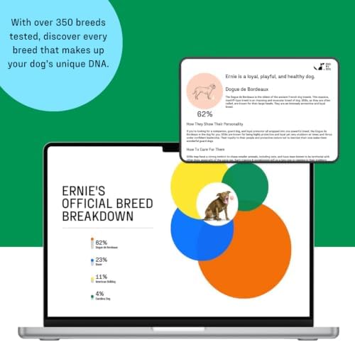 DNA MY DOG - Essential + Health Dog DNA Test Kit | 350+ Breeds Identified | 99%+ Accuracy | 105+ Health & Trait Results | Allergy Risk Score | Personality & Behavior Insights | Results in 2-3 Weeks