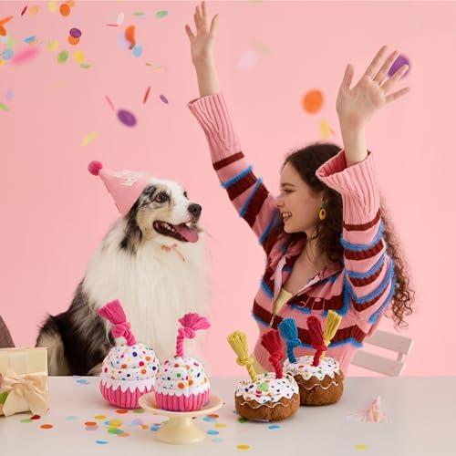 LE SURE Cute Squeaky Dog Toy for Gentle Chewers,Dog Birthday Cake Toy
