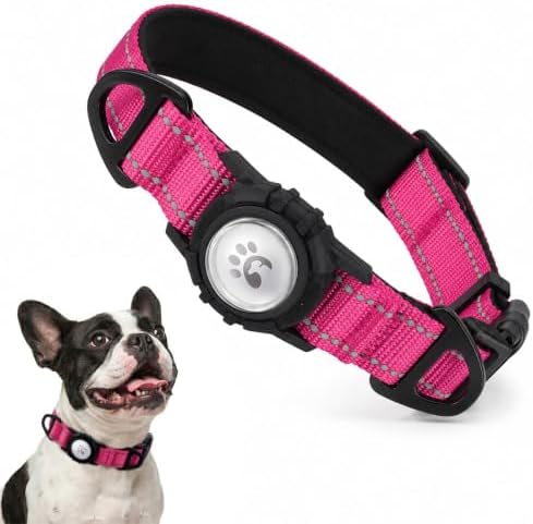 Padded Dog Collar with Waterproof Holder Compatible with Airtag