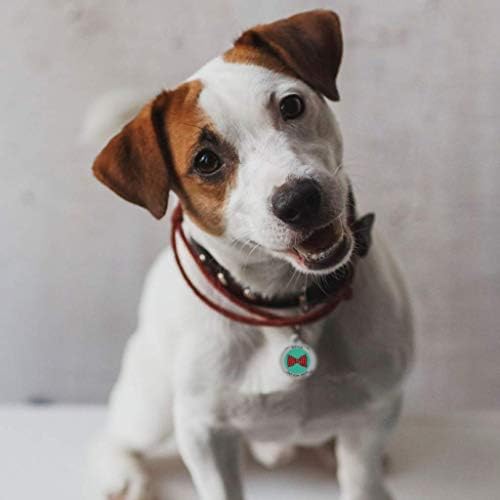QR Code Dog Tag Personalized Pet Id Silent Cat Tags Engraved Name Plate with Online Profile («Perfect Bow»)