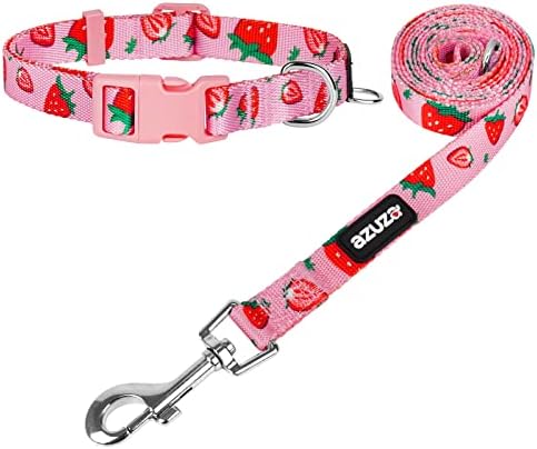 azuza Fruit Dog Collar and Leash Set, Collar Nylon and Matching Leash, Great Option for Small Medium Large Dogs, Pink, S (Neck: 11"-16")