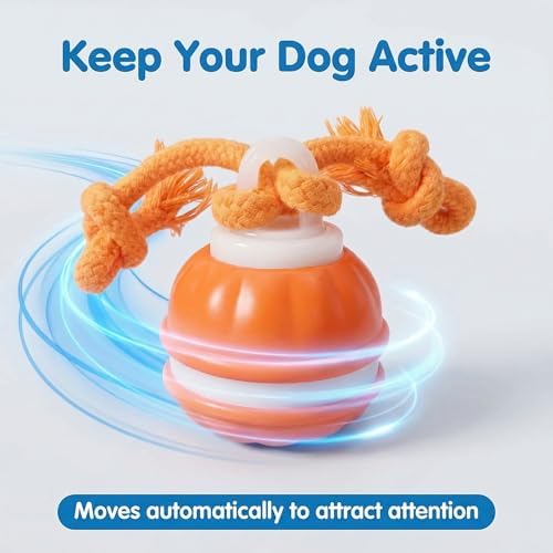 Winb Interactive LED Dog Ball （4 inch）- USB Rechargeable Motion-Activated Rolling Toy for Small to Large Dogs, Dogs Ball Play and Wicked Fun,Squeaky Sound & Stimulation, Orange