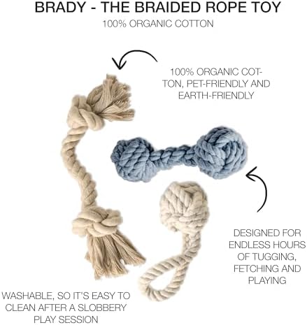 Pet Passion Brady The Rope Tug Toy 3-Pack Organic Cotton Dog Rope Pull Toys for All Pet Breeds, Sandy Chic, One Size