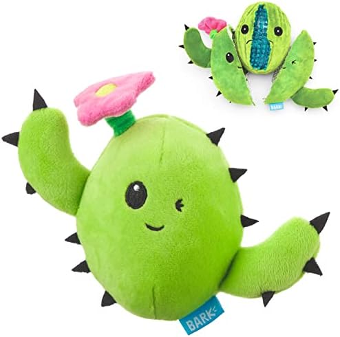 BarkBox Consuela the Cactus 2-in-1 Interactive Plush Dog Toy