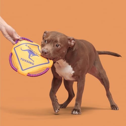 BarkBox Kangaroo Tossing Flying Disc Dog Toy - for Dogs