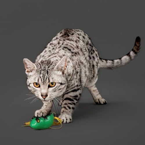 Playology Cat Toys | Catnip Toy Dangly Leg Frog for Chewing Chasing and Pouncing | Interactive Cat Toys for Indoor Cats