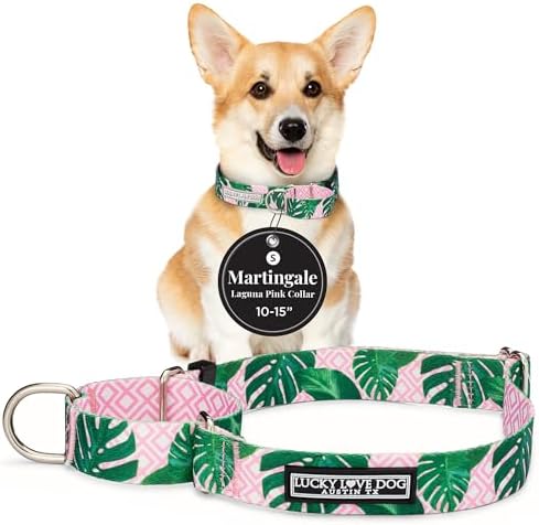 Lucky Love Dog Martingale Collar for Small Dogs No Slip – Laguna, Small
