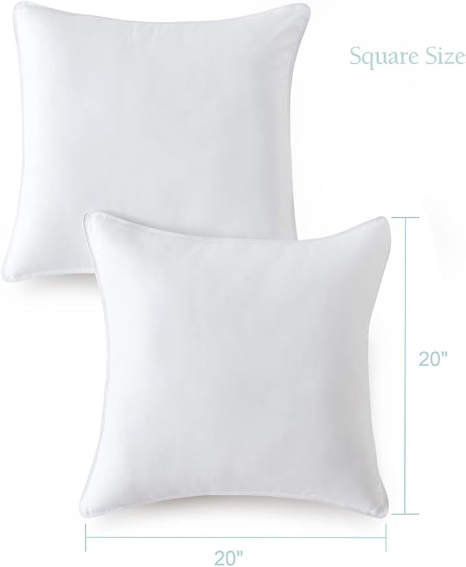 Seward Park Throw Pillows 20 x 20 inch Set of 2, Soft Fluffy Decorative Pillow Inserts for Couch Cushion and Sofa
