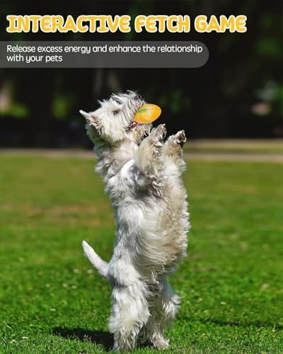 SCHITEC Dog Squeaky Toy Balls, Interactive Squeak Puppy Balls for Fetch Play, Latex Rubber Pet Toy for Puppies Mini Breed Small Dogs