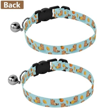 Cute Capybaras Oranges Pet Collar 2 Pack Collars for Puppies Adjustable Length 10.6" to 17.1"