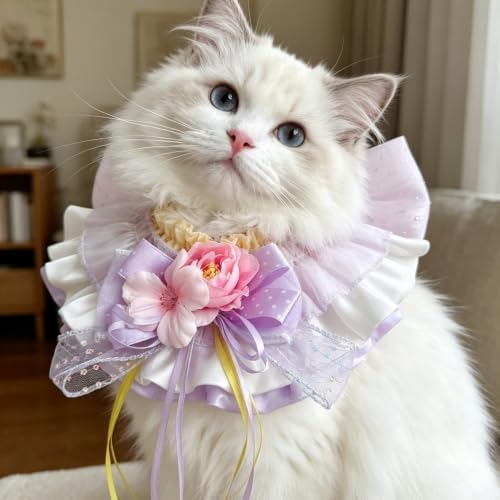 Cat Dog Lace Bow Collar Luxury Elastic Neckline (#9)