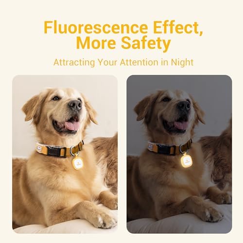 Pawaii Glow in The Dark Dog ID Tag, Silent Silicone, QR Scan Alerts, 1 Pack