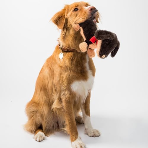 Fuzzl Eco Leather Natural and Tough Dog Toys - Long Lasting Chew Toys for Aggressive Chewers - Strong Dog Toy for Dogs and Puppy
