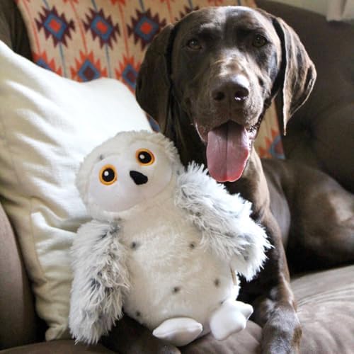 Tall Tails Plush Animated Moving Toy for Dogs, Snow Owl