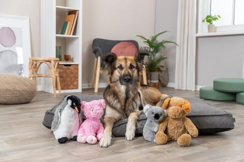 Be Eco Elly the Koala Plush Dog Toy for All Dogs, 8.5" Fun and Cuddly Squeaky Dog Toy, 97% Recycle Material