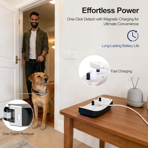 GPS Wireless Dog Fence System with Real-Time Tracking & Training