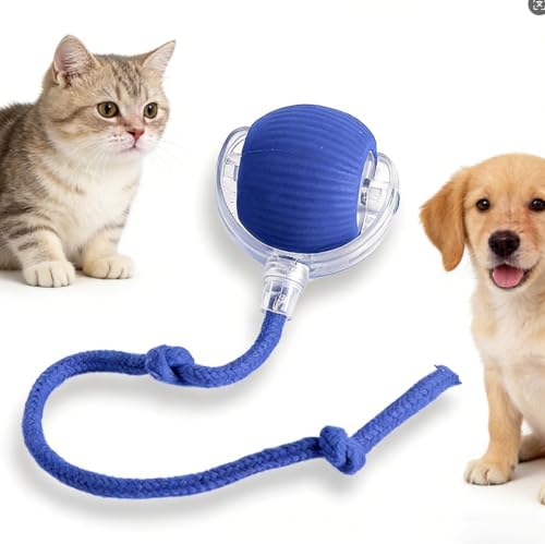 RightBliss Automatic Interactive Cat Dog Toy with Elastic Tail: Chirping Sound, Smart Obstacle Avoidance for Indoor Cats & Kittens (sea Blue)