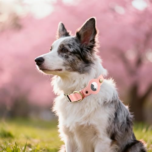 Airtag Dog Collar, PU Leather Collar w Airtag Holder for Medium Dogs(Pink)