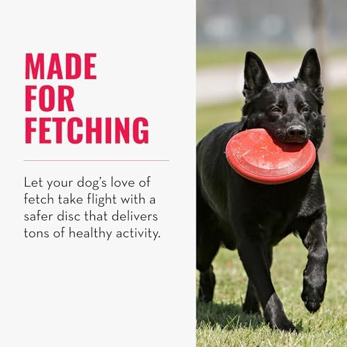 KONG Flyer, Natural Rubber Flying Disc, for Small Dogs (Pack of 2)