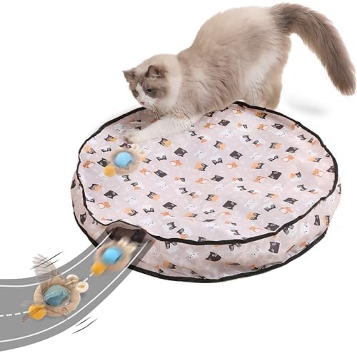 Cat Toys for Indoor Cats, Interactive Cat Toy for Adult Cats