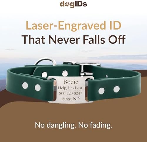 dogIDs Personalized Dog Collar – ScruffTag Custom Waterproof Biothane Dog Collar with Laser-Engraved Name, Durable & Odor-Resistant – USA Made | Hunter Green, 1 in x 22 in (Fits Neck Sizes 20-24 in)