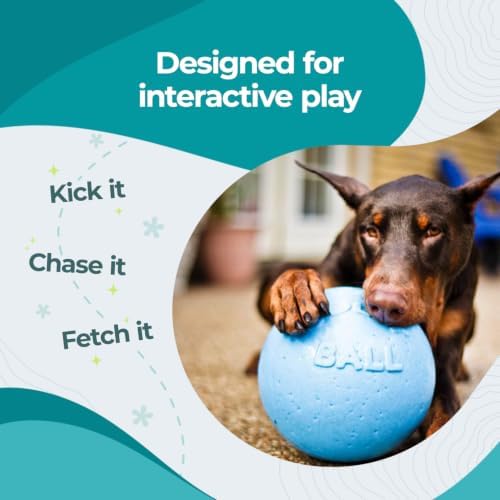 Jolly Pets Bounce-n-Play Dog Toy Ball, 6 Inches, Blueberry, All Breed Sizes