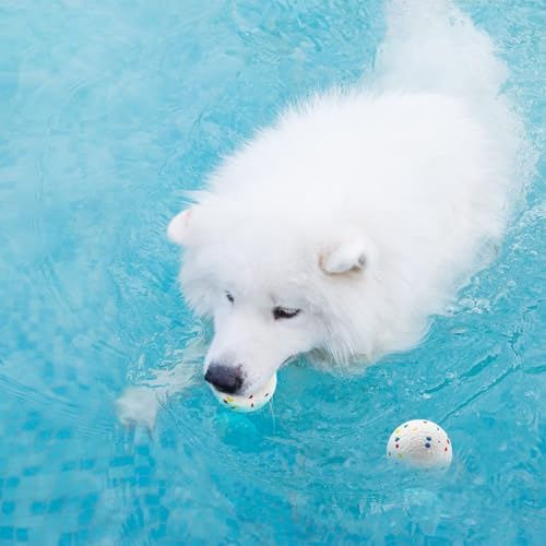 Dog Balls for Dogs:6 Pack 2.3 Inch Balls Compatible with Most Automatic Ball Launchers, for Puppy Dogs Medium Dogs Playing Exercise and Practice