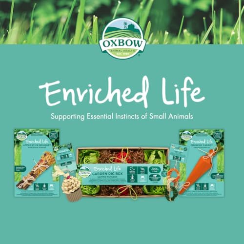 Oxbow Enriched Life Shake, Rattle and Roll - Small animal enrichment toy