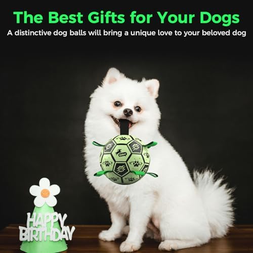 QDAN Glow in the Dark Dog Ball, Light Up Dog Toys, Luminous Glow Soccer Ball for Dogs, Outdoor Dog Toys, Doggy Water Toy, Puppy Birthday Gifts for Small Medium (6 Inch)