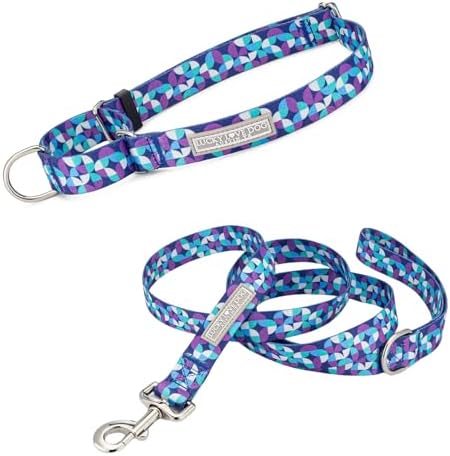 Lucky Love Dog Martingale Collar & Leash Set No Slip Cute – Jasper, Medium
