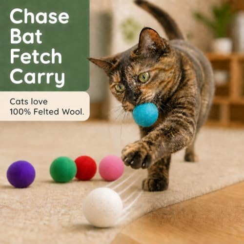 Wool Cat Toys - Felt Balls Assortments for Small Pet Fetch and Play - Eco Friendly Quiet Wool Ball Toy for Cats and Kittens - 6 PCS Choose Your Colors (Variety Pack)