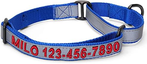 Pawtitas Customized Martingale Dog Collar Reflective Reflective Dog Collar Embroidered Personalized Name Phone Number Adjustable for Puppies Small Medium Large Size Dogs Medium Blue