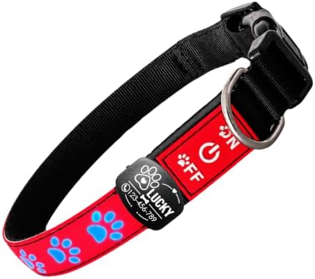 Personalized Light Up Dog Collar with Laser Engraved ID Tag